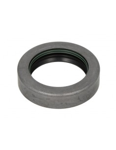 Simering 46x65x16.1 mm 12019329B