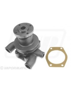 Pompa Apa cu Fulie VPE1001