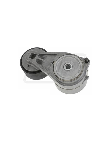 Belt Tensioner 4227209M91, 4226287M91, T411130, 2637A001