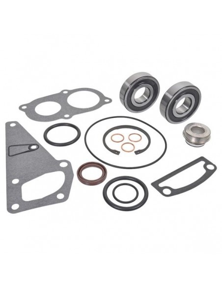 Kit Reparatie Pompa Apa Steyr 162000060776