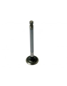 Exhaust Valve Fiat 4579417