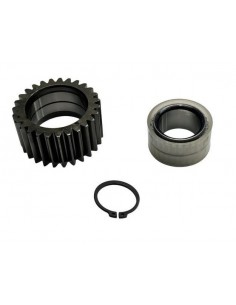 Pinion Satelit Fata Z-27