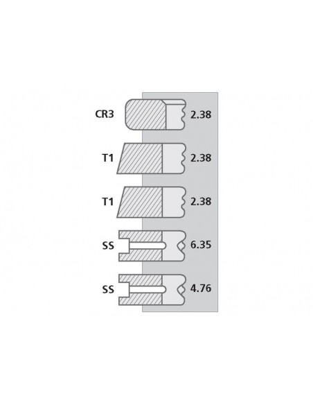 Segmenti Piston Ø 98.00-2.38x2.38x2.38x6.35x4.76 mm Leyland AHM9014, 98800102, 98/800102,
