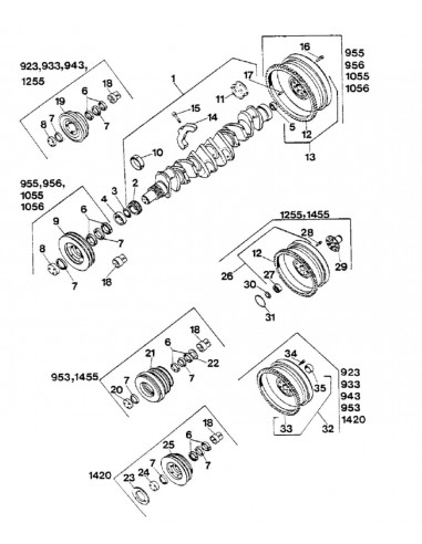 Crankshaft 6 Cyl. Case IH 3218434R92, 3218918R91, 3228424R92, 3228424EX