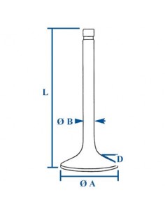 Supapa Admisie 3142L081 2