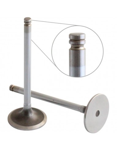 Supapa Admisie 4895187