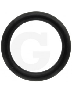 O-Ring 3010466X1