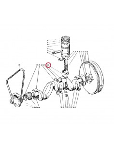 Cuzineti Biela STD David Brown K262900, K901649 2