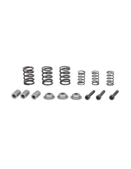 Set Reparatie Frana 219-8809, 2198809, 0003270880, 85827749, 6193400M91