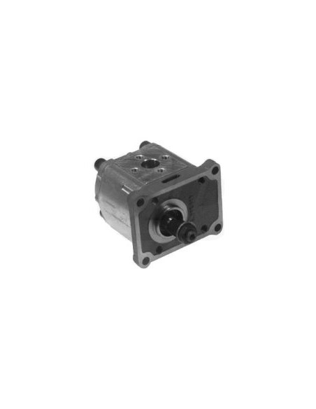 Hydraulic Pump 87325370, 87721169, 84467651, 85086286, 84530156, 73328631, 5094391, 5169772, 5129483,