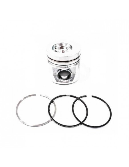 Piston cu Segmenti 0.020''-0.51 mm (Fara bolt) 3802132 0.50