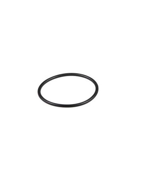 O-Ring 17283680, 14459181