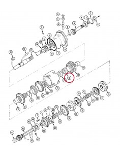 Case IH McCormick 402566R1, 402566R1GV 2