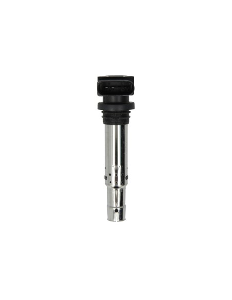 Bobina de Inductie Beru ZSE030