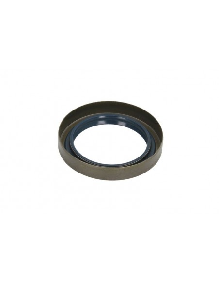 Oil Seal 58x80x13/15 mm