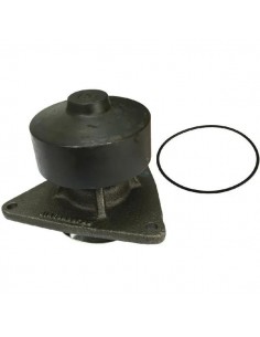 A77579, A77704, J800974, J800976, J802479, J802975