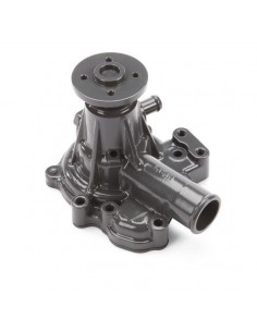 Water Pump 87761578, SBA145016780, 83966716