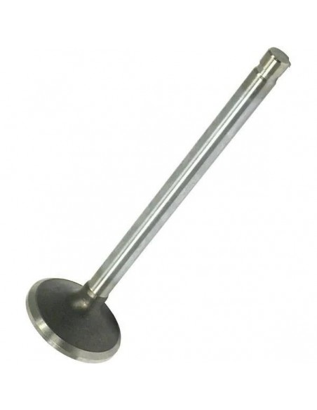 Exhaust Valve Ford New Holland 89832816, 82850523, F0NN6505AD, 81865088, 83999650, 87802147, 89832816, F0NN6505AA, F0NN6505AC,