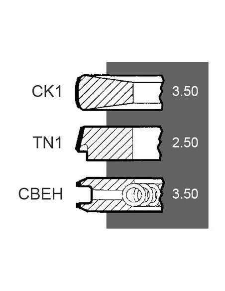 Segmenti Piston Ø 100 - 3.5X2.5X3.5 mm Perkins 4181A033, 293181A1, 4222136M91, 76601163, 02/201504, 1167868, 138-2073,