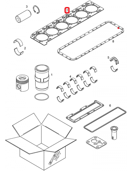 Cummins 3943366, J943366, 3943902, 3967059, 87775155