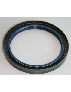 Simering 100x125x13 mm 2