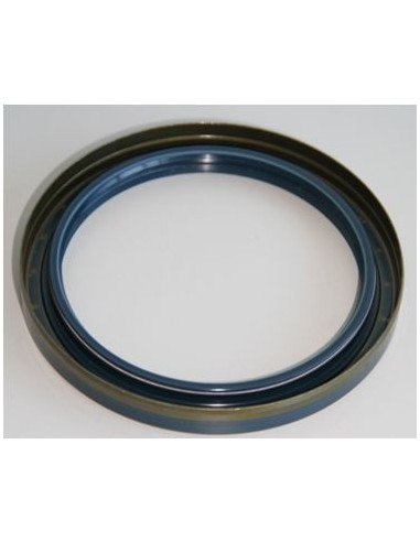 Simering 100x125x13 mm