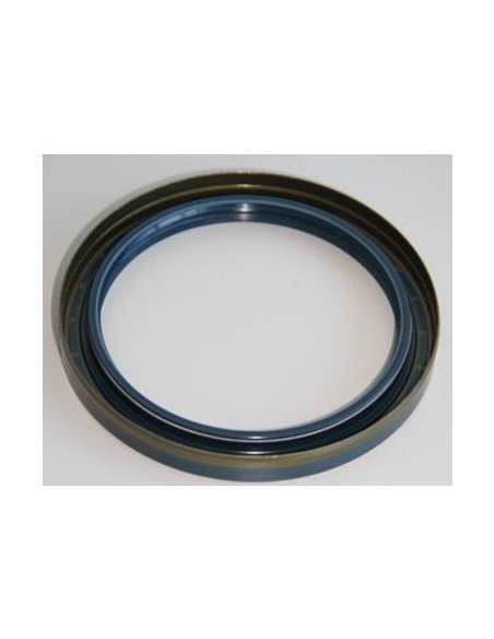 Simering 100x125x13 mm