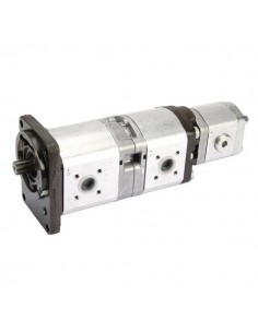 Hydraulic Pump 19+11+2 Cm³ 0510666303, 1517222721, 1517222846, 1517222847, G385941010010, G385.941.010.010, 51