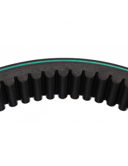 Belt 38x2450 mm 0211205, Z61154, Z54808, 1409652R1, 0211203, AP1001448