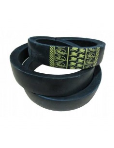 Curea 38x2450 mm 0211203, Z61154, Z54808, 1409652R1, 0211205, AP1001448