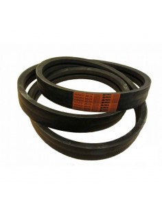 Curea 2HBx3750 mm 86627796, 87628477, 0000617001, 61068951