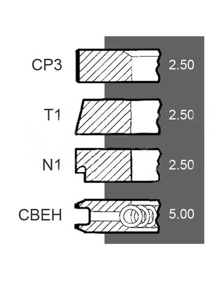 Piston Ring Set Ø 100 - 2.5x2.5x2.5x5 mm Same 0.024.0052.4/10, 0.024.0052.4, 00240052410, 240052410, 007200526