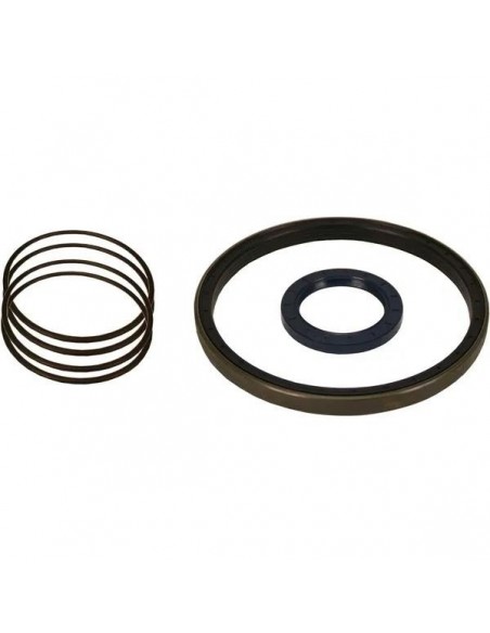Seal Kit, Driveshaft, Suspension Cylinder Merlo 042077, 041695