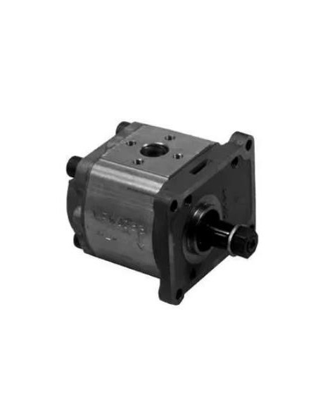 Hydraulic Pump 5129478, 1930058, 1901323, 569306, 8280040