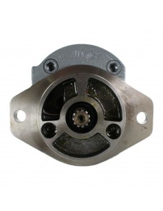 Hydraulic Pump 28 Cm³  John Deere SJ13608, RE264112 2