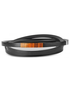 V-Belt 22x2800 mm 80230059, 89838606, C2800 191305C1 217700C1 632102R1 1408855R1 632702R1 191305C1A 742025.0 0114 1882 0114 1911