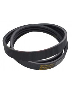 84188121, 84148382, Z43890, 71387775, W9811430, 181501.0, 0001815010, 181501, AN1462