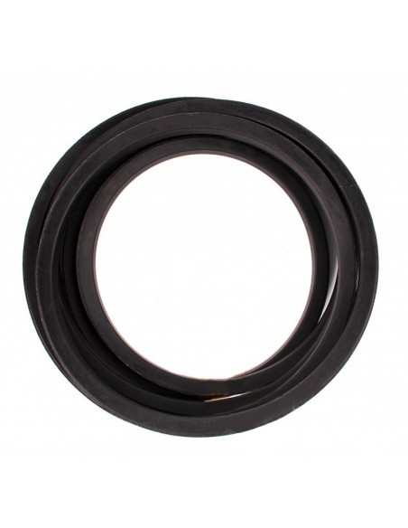Curea 22x4725 mm John Deere Z58752, Fendt/Laverda 340433474