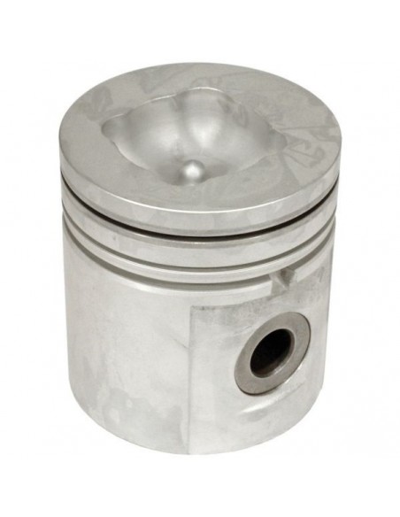 Piston 100 mm STD U5LL0015